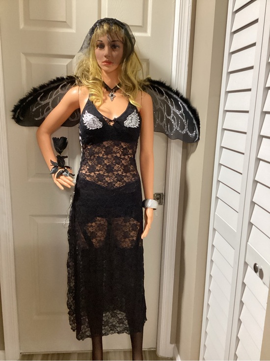 Hustler Hollywood Other - Dark Angel with Wings Halloween Costume